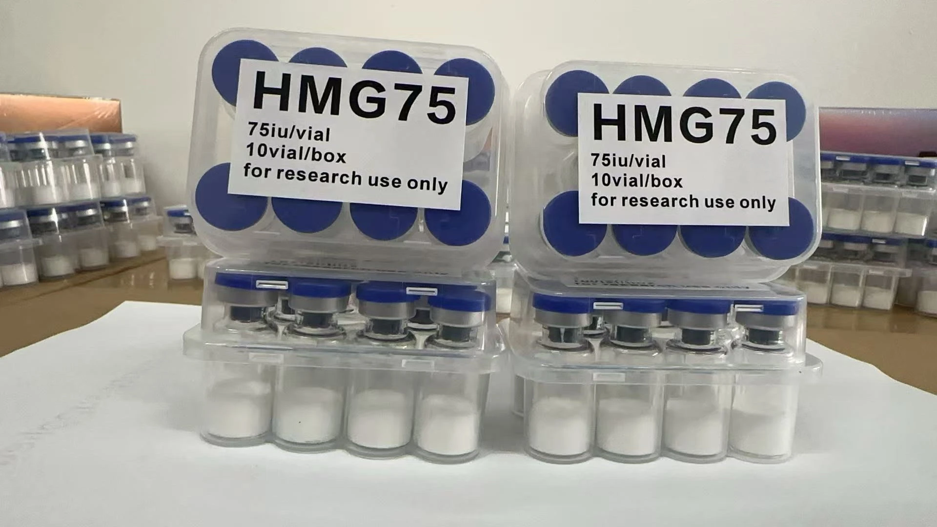 HMG(Human Menopausal Gonadotropin)– 75IU - Image 3