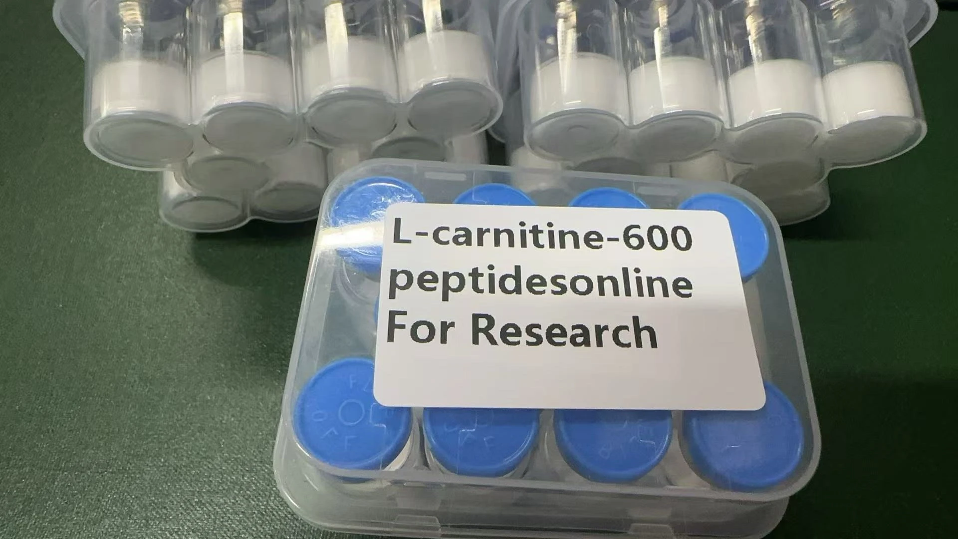 L-carnitine (Levocarnitine) – 600mg-1200mg - Image 2
