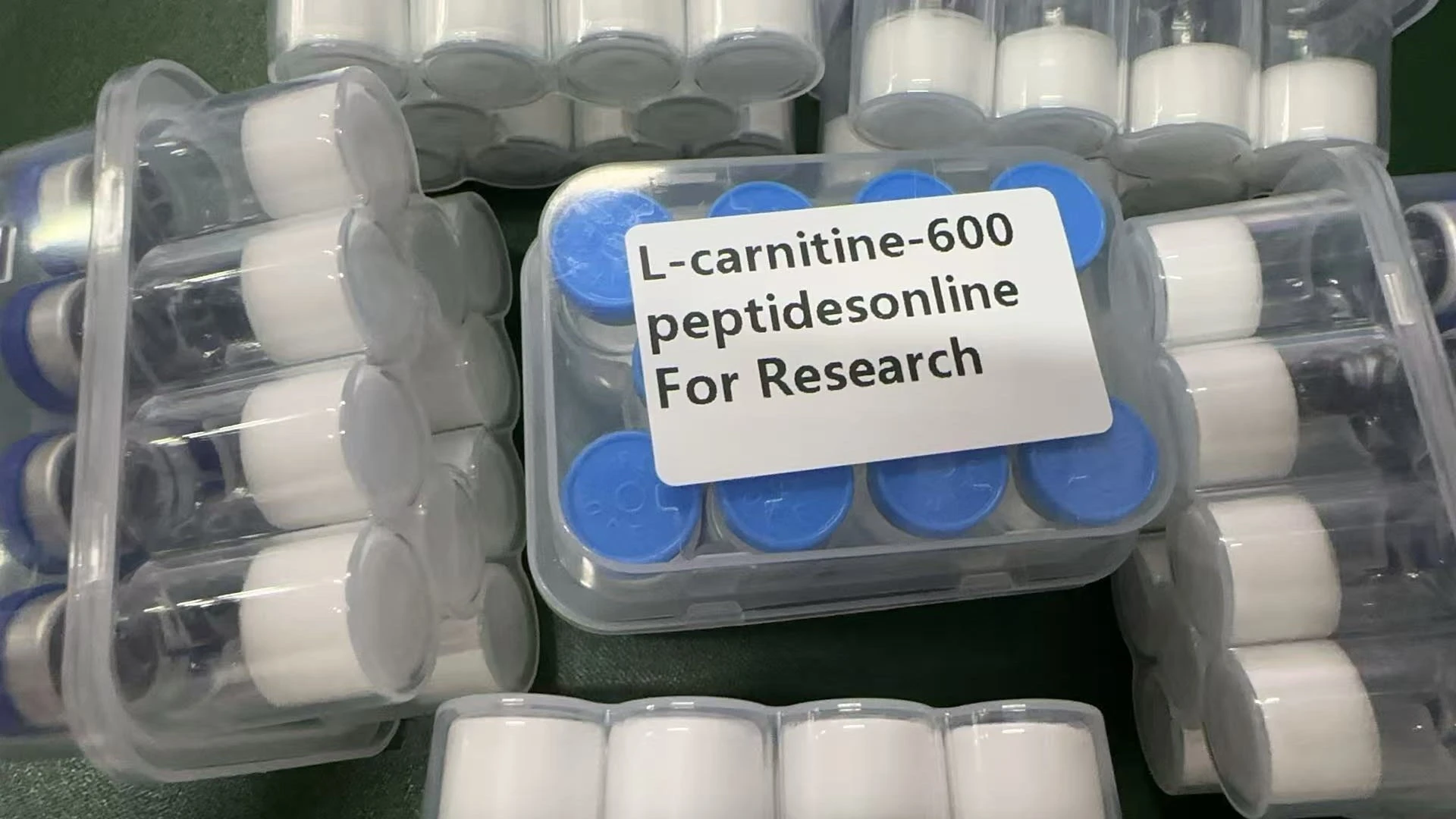 L-carnitine (Levocarnitine) – 600mg-1200mg - Image 4