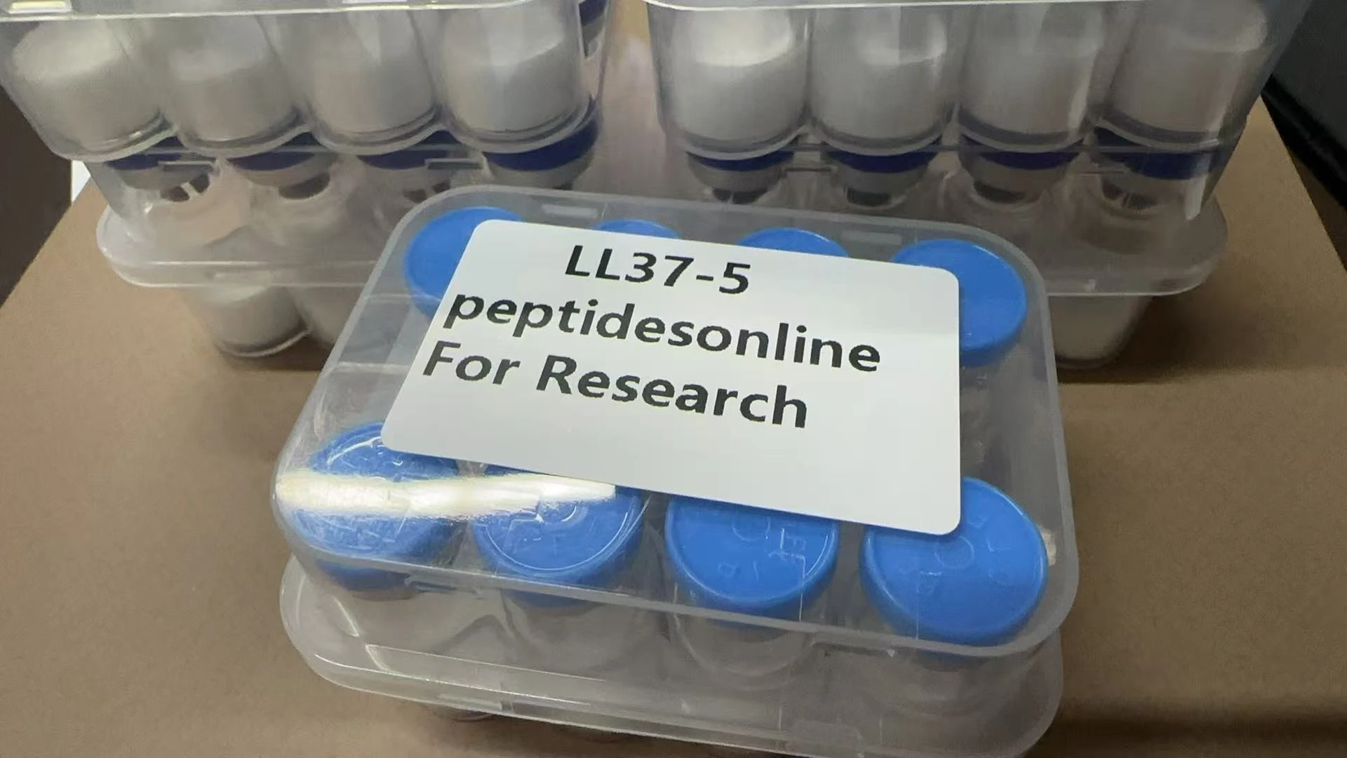 LL-37 (Cathelicidin) – Antimicrobial peptide 5mg - Image 2
