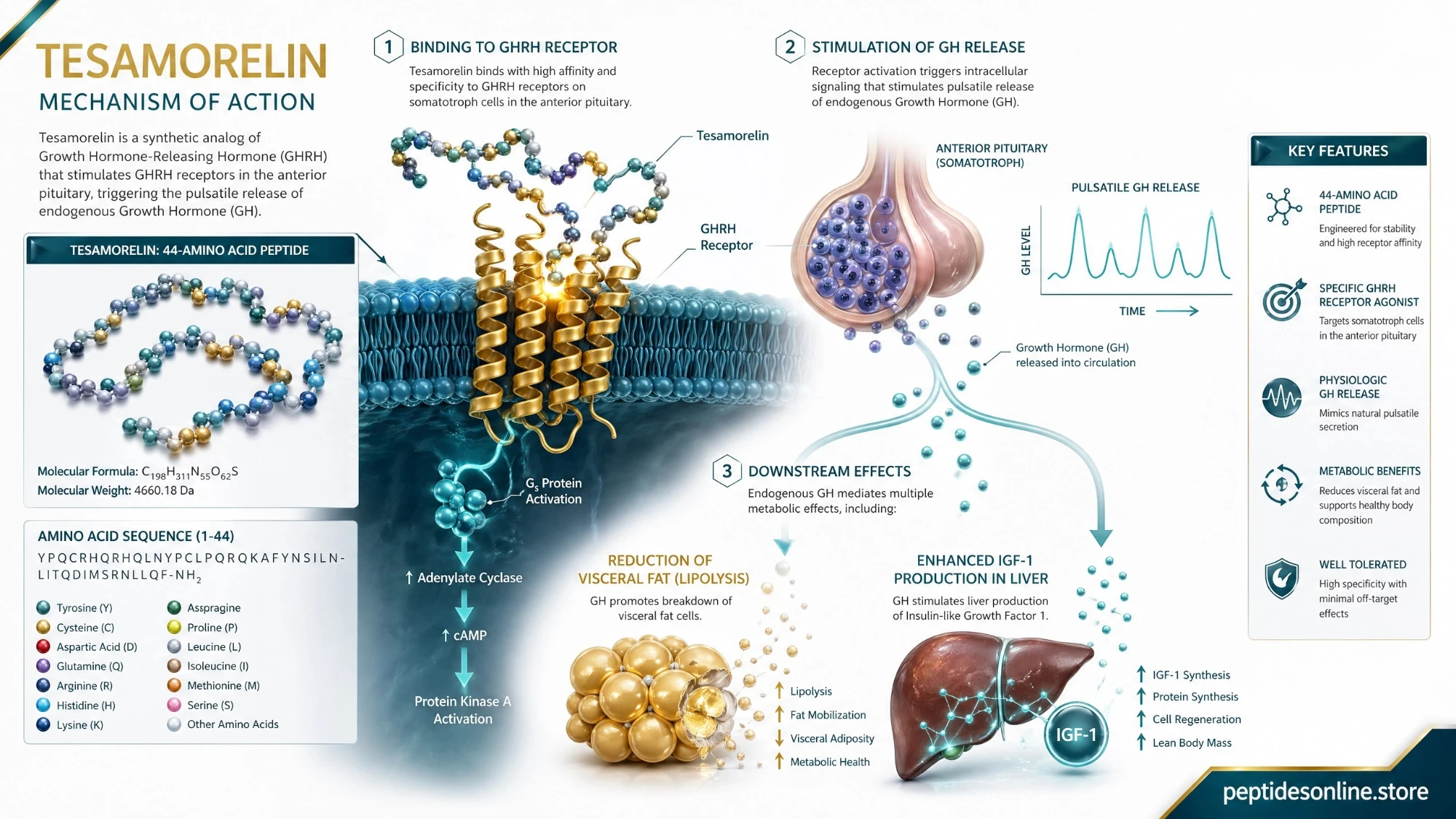 tesamorelin mechanism of action vs ipamorelin CJC-1295/Ipamorelin: Which Growth Hormone Peptide Is Right for You? ipamorelin mechanism of action gh